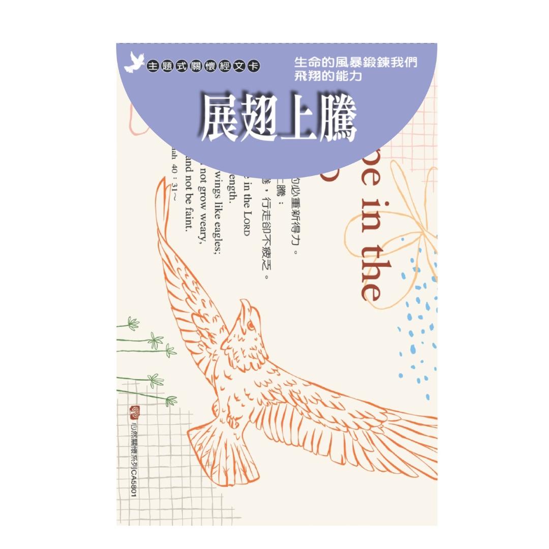 關懷卡：展翅上騰(8卡8封)