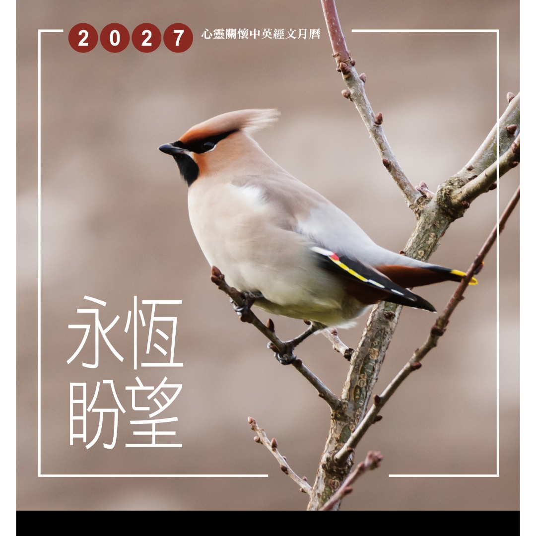 2027年心靈關懷月曆(永恆盼望)：心靈關懷中英經文月曆