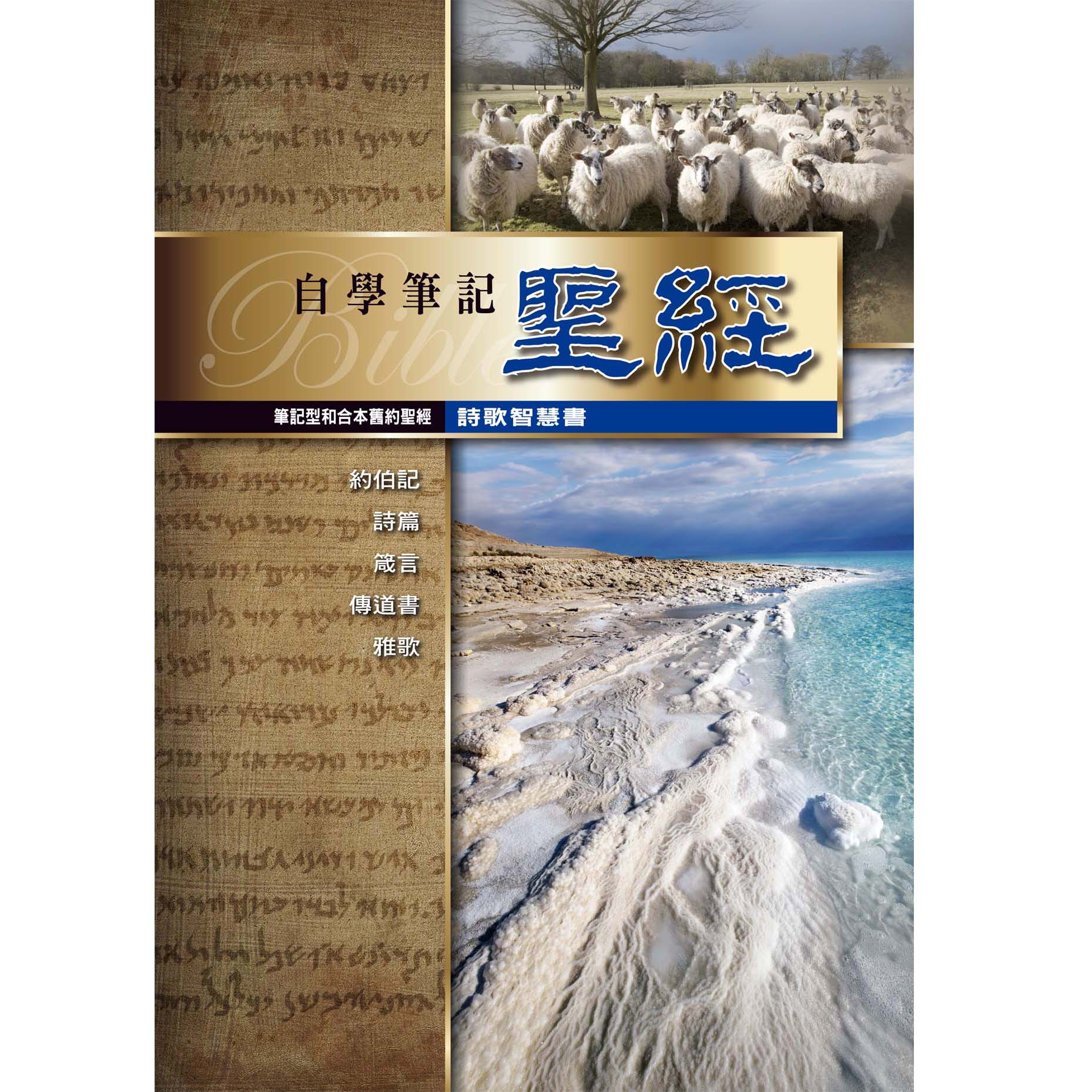 筆記聖經(詩歌智慧書)
